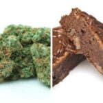 Ingest or Inhale: 5 Differences Between Cannabis Edibles and Flower - Trove Cannabis
