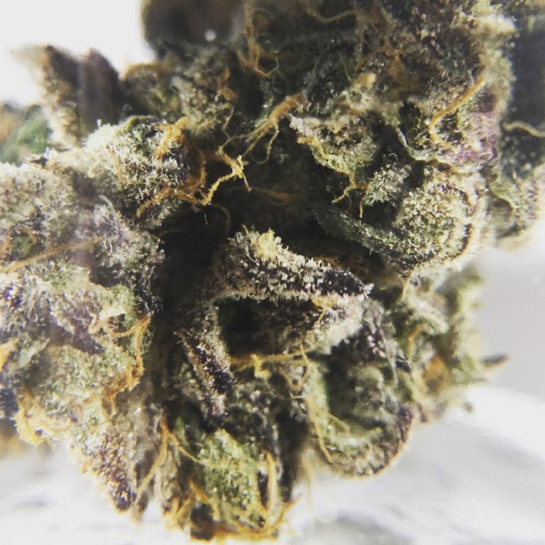 trove cannabis trove cannabis