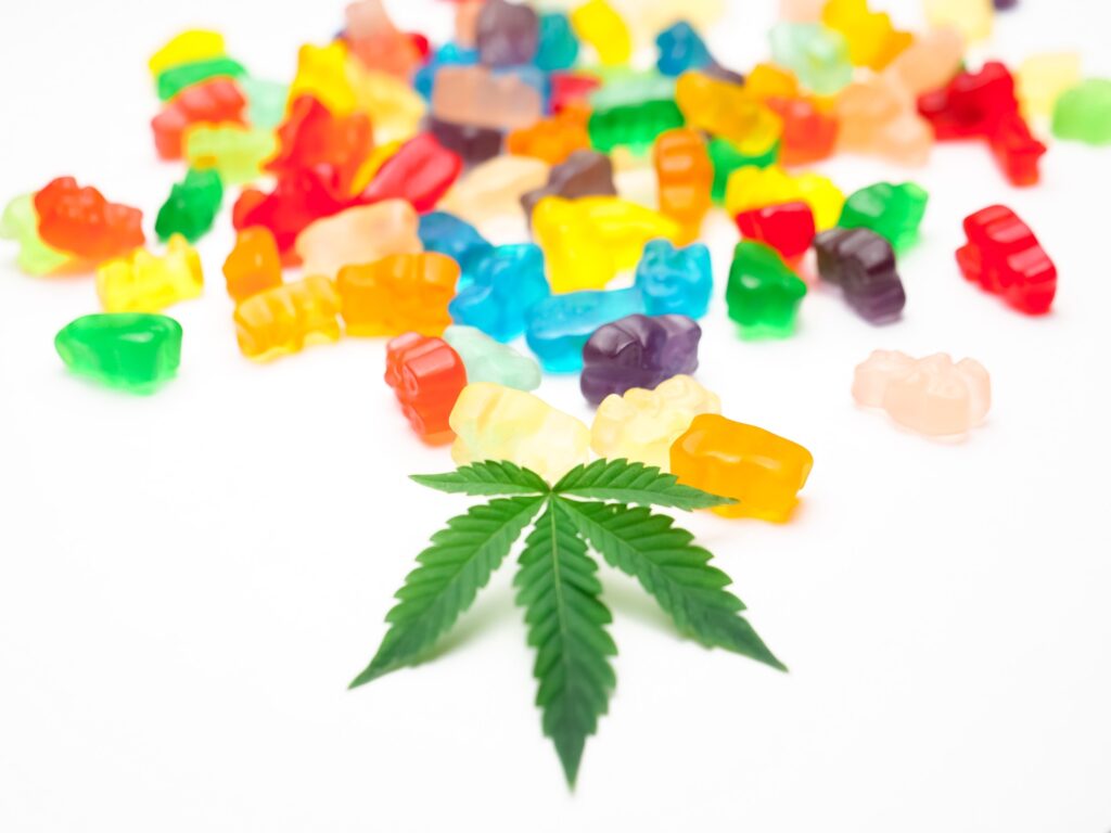 colorful cannabis pride