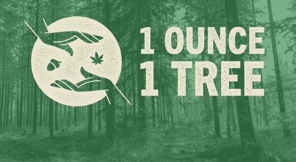 Trove Cannabis One Ounce One Tree
