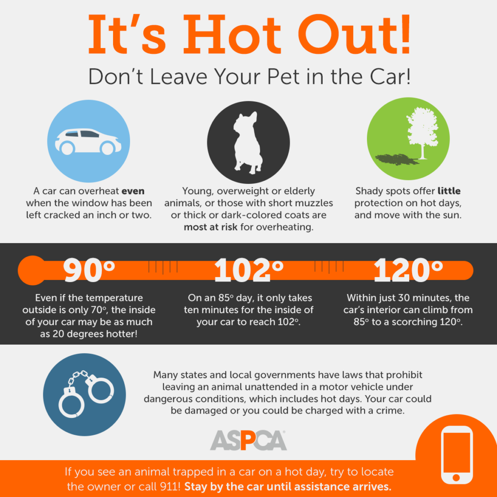 Don't Leave Dogs in Hot Cars