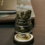 Cannabis flower next to textbooks